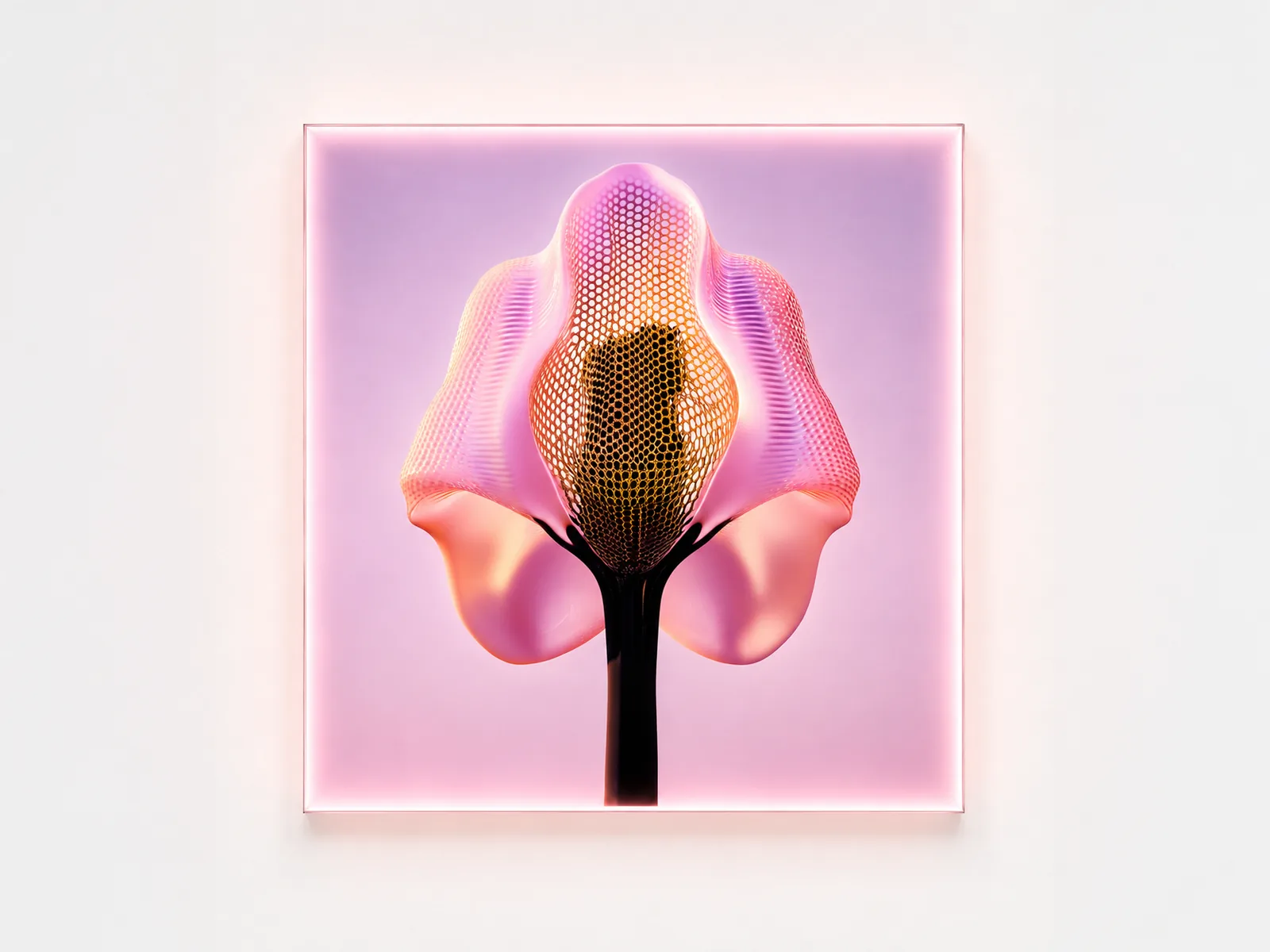 Edition — bloom I