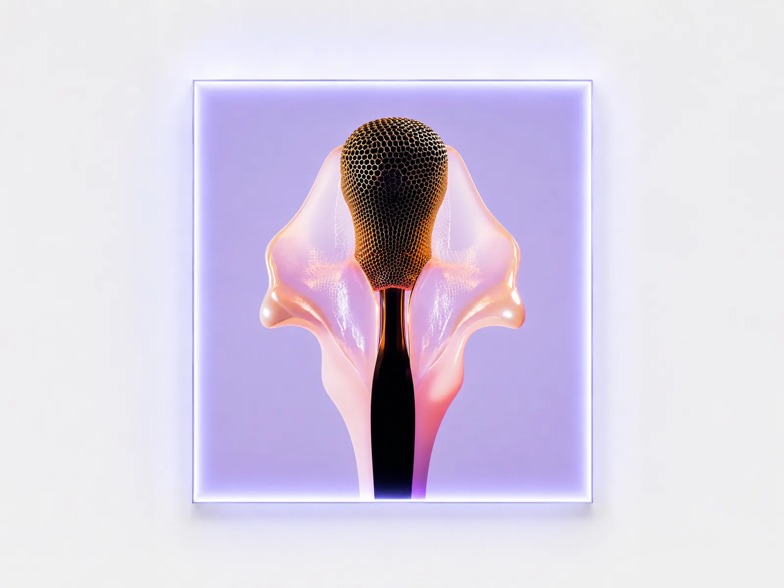 Edition — bloom II