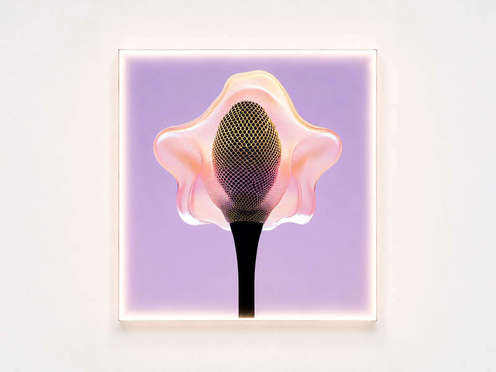 Edition — bloom III