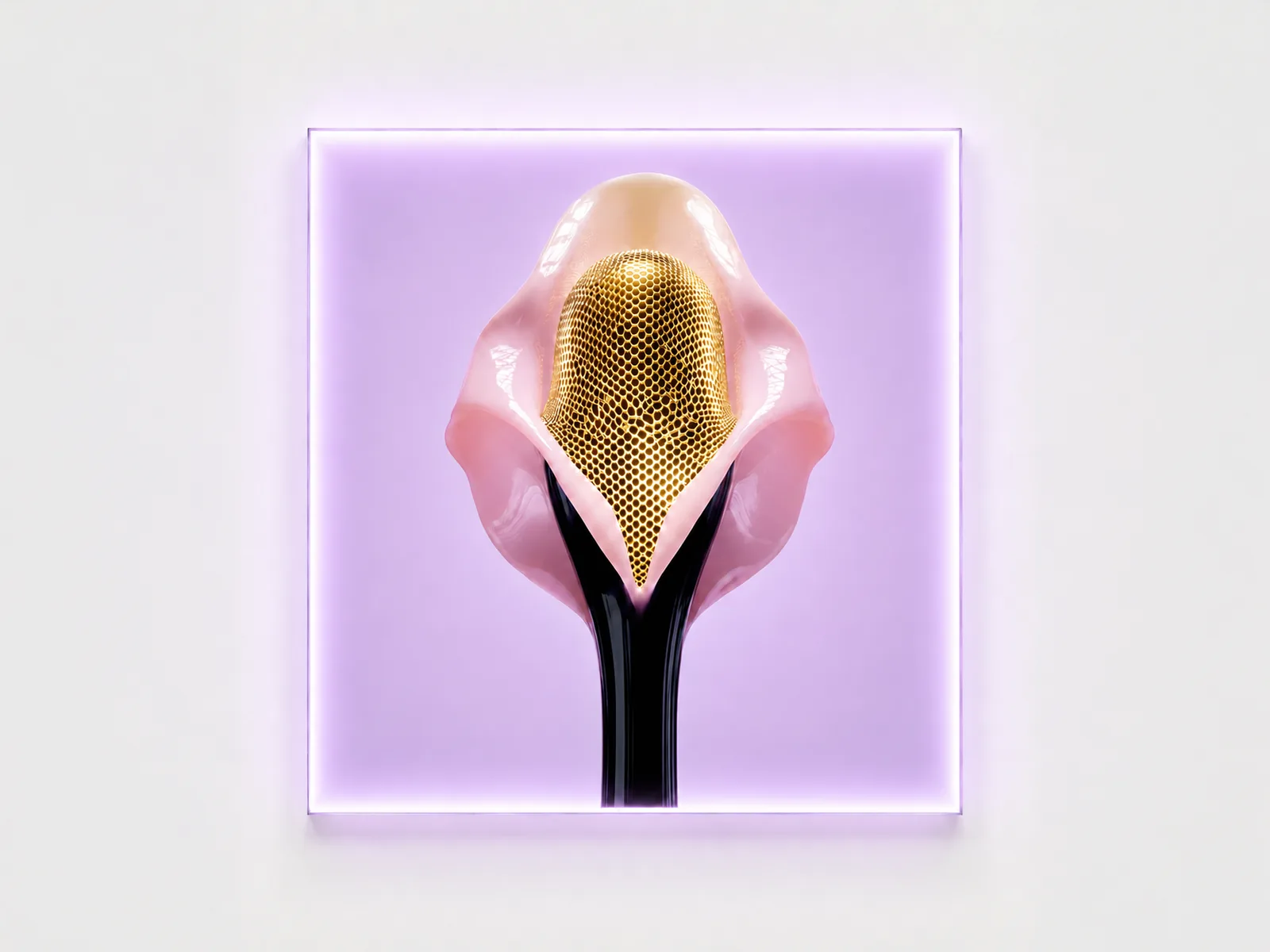Edition — bloom IV