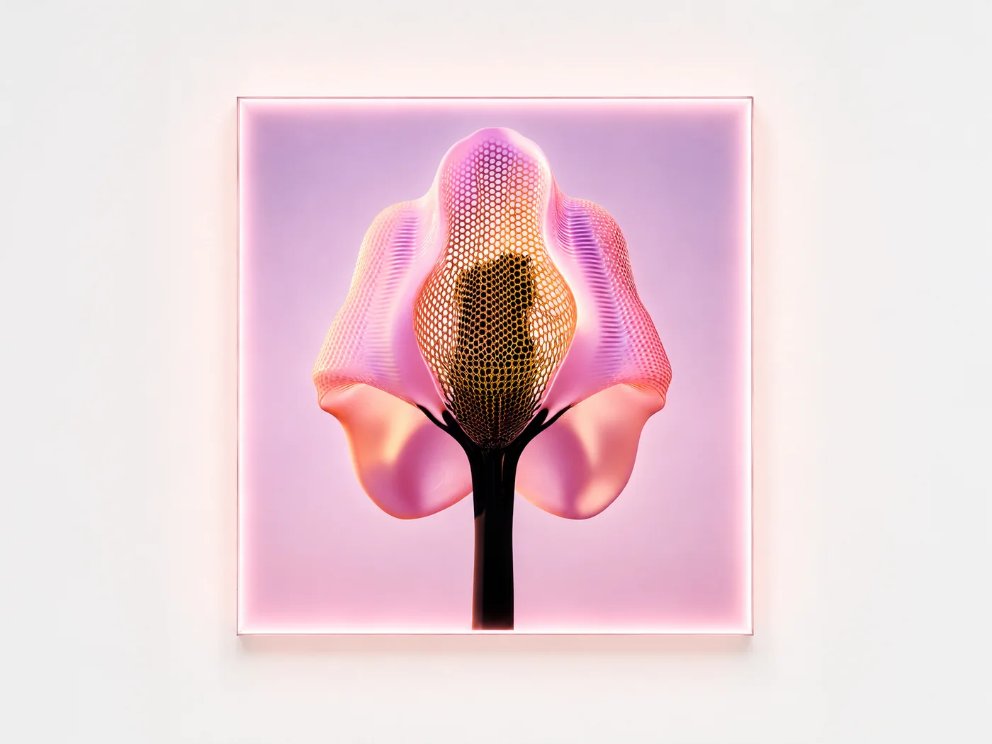 Light Code edition — illuminated panel, rose